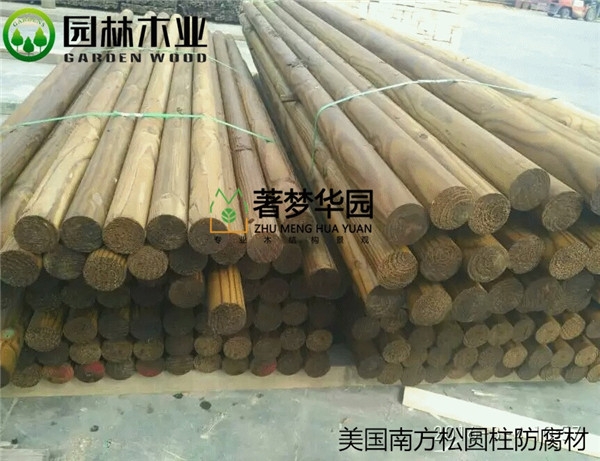南方松91抖音下载网址进入IOS