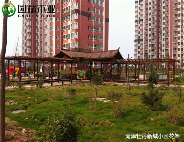 91抖音下载网址进入IOS花架