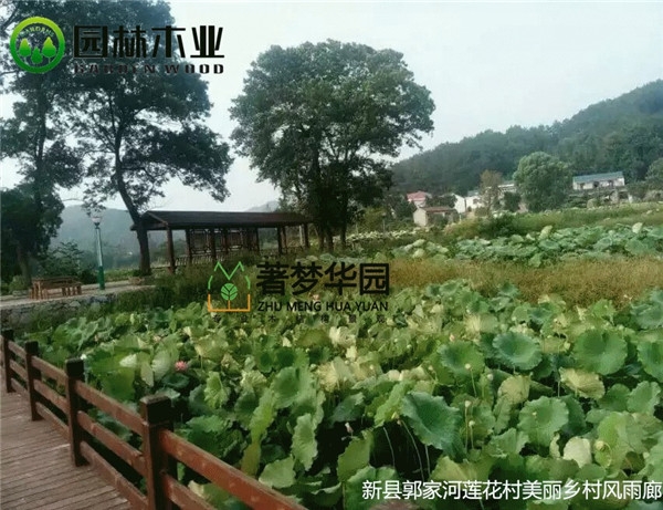 91抖音下载网址进入IOS风雨廊