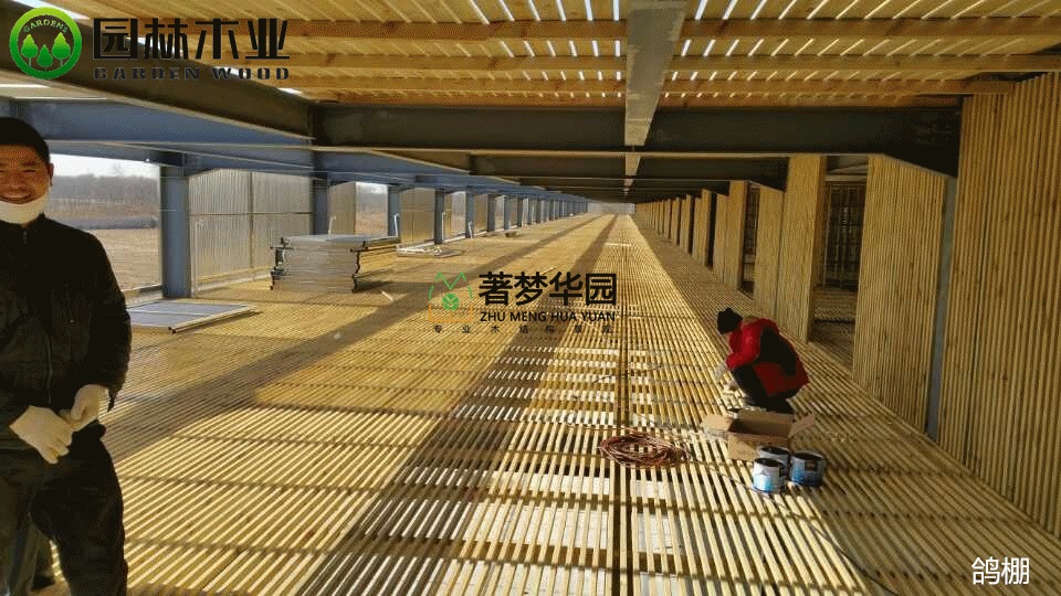 91抖音下载网址进入IOS鸽棚
