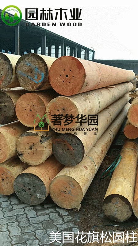 郑州91抖音下载网址进入IOS